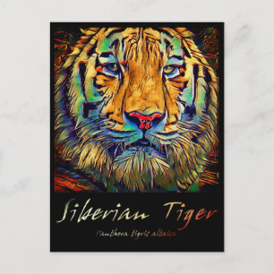 Sibirischer Tiger [Postkarte] Postkarte