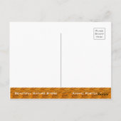 Sibirischer Tiger [Postkarte] Postkarte (Rückseite)