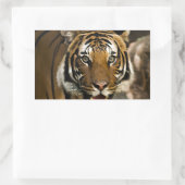 Sibirischer Tiger Rechteckiger Aufkleber (Tasche)