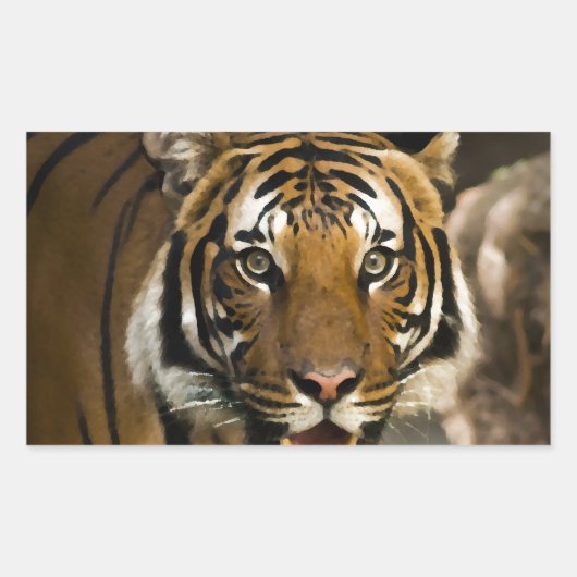 Sibirischer Tiger Rechteckiger Aufkleber (Vorderseite)