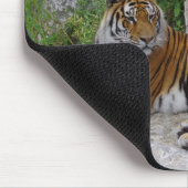 Sibirischer Tiger Relaxen auf einem Felsen Mousepad (Ecke)