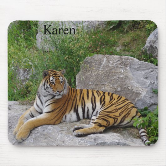 Sibirischer Tiger Relaxen auf einem Felsen Mousepad (Vorne)