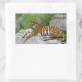 Sibirischer Tiger Relaxen auf einem Felsen Rechteckiger Aufkleber (Tasche)