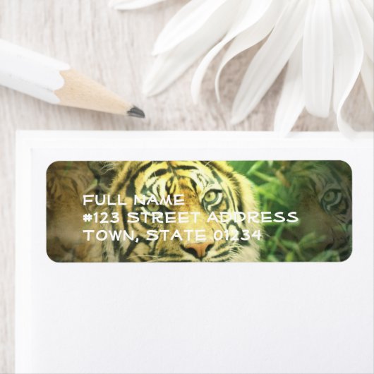 Sibirischer Tiger-Rücksendeadresse (Insitu)