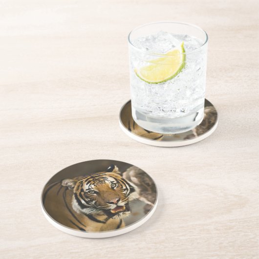 Sibirischer Tiger Sandstein Untersetzer (Seite)