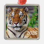 Sibirischer Tiger-Schmuck Silbernes Ornament (Vorne)