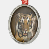 Sibirischer Tiger Silbernes Ornament (Links)