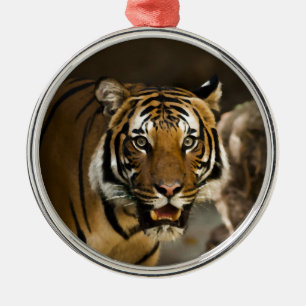Sibirischer Tiger Silbernes Ornament