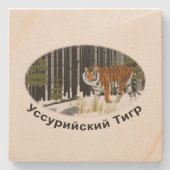 Sibirischer Tiger Steinuntersetzer (Vorderseite)