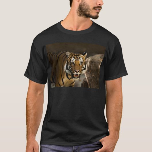 Sibirischer Tiger T-Shirt (Vorderseite)