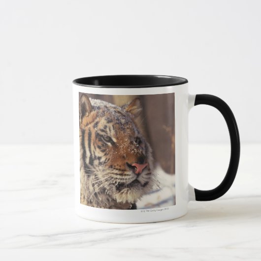 Sibirischer Tiger Tasse (Rechts)
