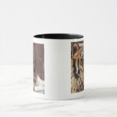 Sibirischer Tiger Tasse (Zentrum)