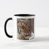 Sibirischer Tiger Tasse (Links)