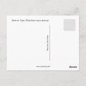 Sibirischer Tiger und Cube Postkarte (Rückseite)