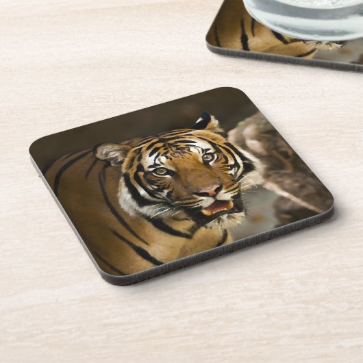 Sibirischer Tiger Untersetzer (Linke Seite)