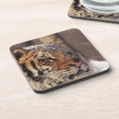 Sibirischer Tiger Untersetzer (Linke Seite)