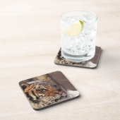 Sibirischer Tiger Untersetzer (Rechte Seite)