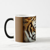 Sibirischer Tiger-verwandelnde Kaffee-Tasse Verwandlungstasse (Links)