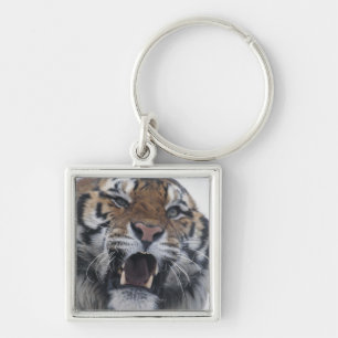 Sibirischer verwirrender Tiger Schlüsselanhänger