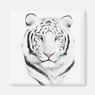 Sibirischer weißer Tiger Magnet