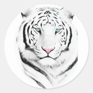 Sibirischer weißer Tiger Runder Aufkleber