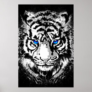Sibirischer Weißer Tigerkopf - Tigerposter Blaue A Poster