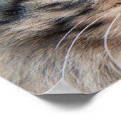 Sibirisches Foto Poster (Ecke)