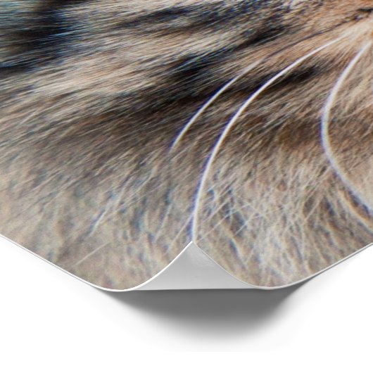 Sibirisches Foto Poster (Ecke)