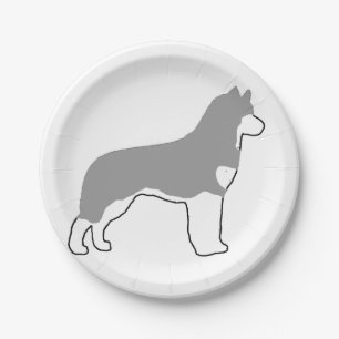 sibirisches Huskygrau-weißes Silo Pappteller