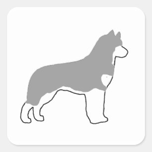 sibirisches Huskygrau-weißes Silo Quadratischer Aufkleber