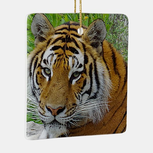 Sibirisches Tiger Closeup Foto Keramikornament (Rechts)