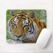 Sibirisches Tiger Closeup Foto Mousepad (Mit Mouse)