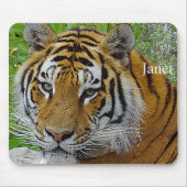 Sibirisches Tiger Closeup Foto Mousepad (Vorne)