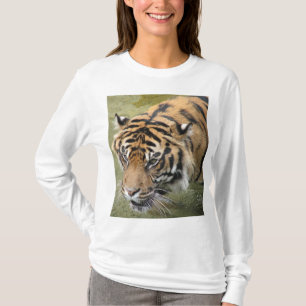 Sibirisches Tiger Foto Frauenhemd T-Shirt