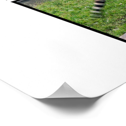 Sibirisches Tigerposter Poster (Ecke)