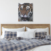 Sibirisches Tigerrähnchen 2 Leinwanddruck (Insitu (Schlafzimmer))