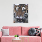 Sibirisches Tigerrähnchen 2 Leinwanddruck (Insitu (Wohnzimmer))