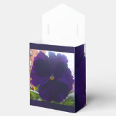 Sibylla Geschenkschachtel (Geöffnet)