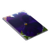 Sibylla Notizblock (Rechte Seite)