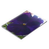 Sibylla Notizblock (Linke Seite)