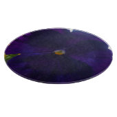 Sibylla Schneidebrett (Ecke)