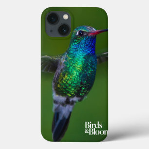 Sich hin- und herbewegender Kolibri iPhone 13 Hülle