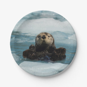 Sich hin- und herbewegender Otter Pappteller