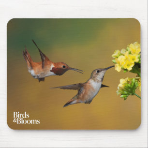 Sich hin- und herbewegender Rufous Kolibri Mousepad
