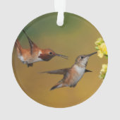 Sich hin- und herbewegender Rufous Kolibri Ornament (Rückseite)