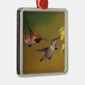 Sich hin- und herbewegender Rufous Kolibri Ornament Aus Metall (Rechts)