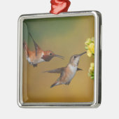Sich hin- und herbewegender Rufous Kolibri Ornament Aus Metall (Links)