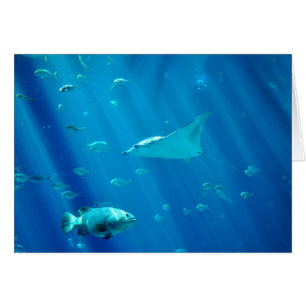 Sich hin- und herbewegender Sting-Strahl