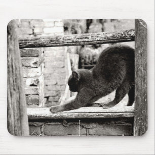 sich streckende Katze Mousepad