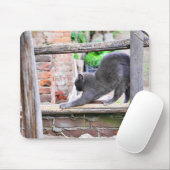 Sich streckende Katze Mousepad (Mit Mouse)
